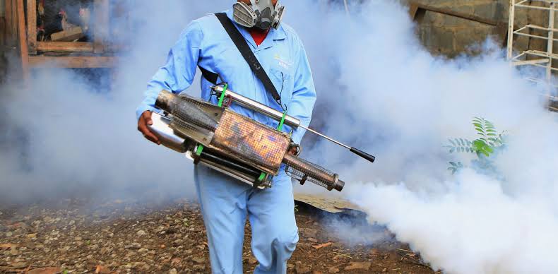 Pest Control Service & Fumigation Modinagar