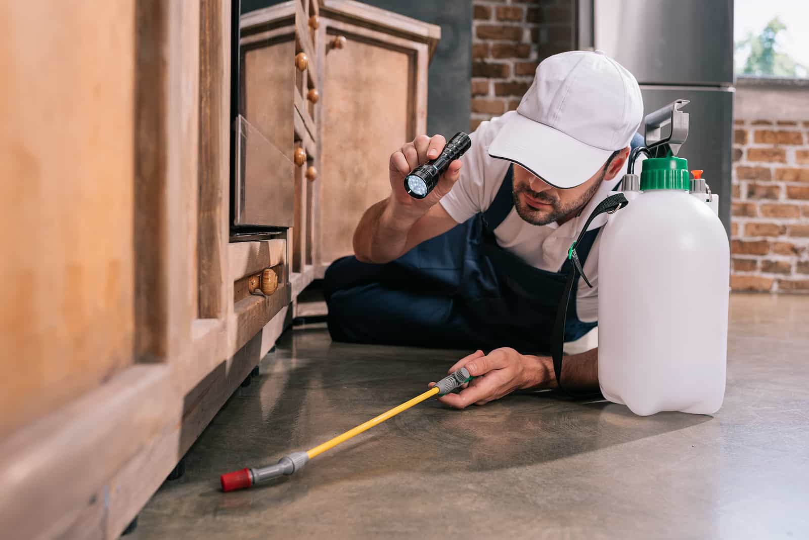 Pest Control Service & Fumigation Modinagar
