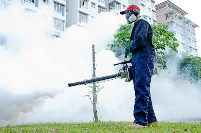 Pest Control Service & Fumigation Modinagar
